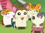 Hamtaro - image 6