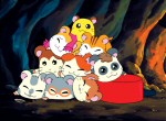 Hamtaro - image 12