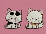 Tama et ses Amis