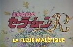 Sailor Moon : Film 1 - La Fleur Maléfique
