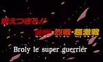 Dragon Ball Z : Film 08 - Broly le Super Guerrier