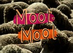 Moot-Moot