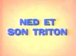 Ned et son Triton - image 1