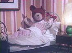 Teddy - image 6