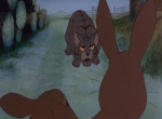 La Garenne de Watership Down - image 3