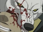 Wolf's Rain - image 2