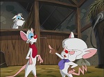 Animaniacs : Wakko et l'Etoile Magique - image 8